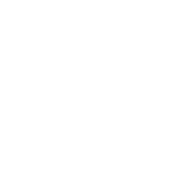 ce logo Westminister