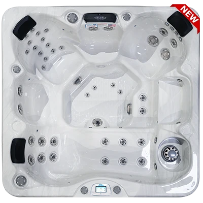 Avalon-X EC-849LX hot tubs for sale in Westminister