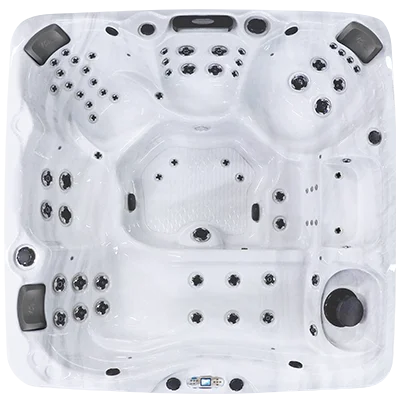 Avalon EC-867L hot tubs for sale in Westminister